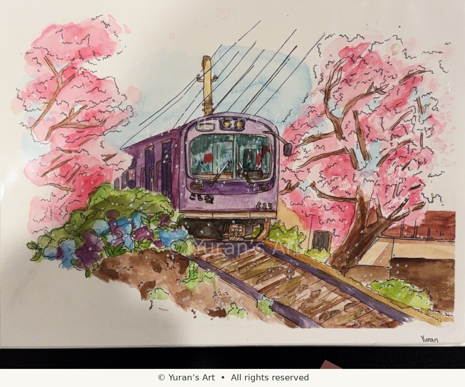 A train framed by pink flowering trees.